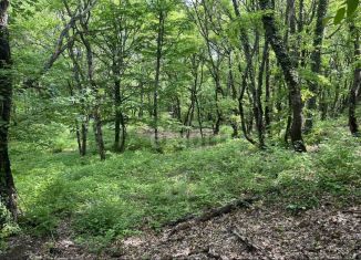 Продам земельный участок, 240 сот., поселок Лаванда