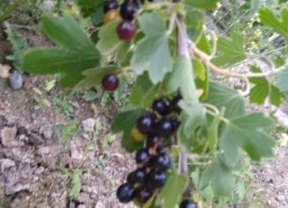 Участок на продажу, 13.9 сот., село Викторовка