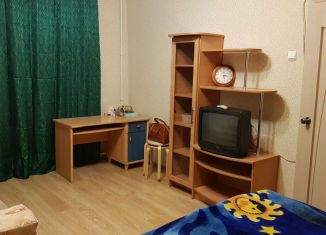 Сдаю 1-ком. квартиру, 30 м2, Санкт-Петербург, улица Пограничника Гарькавого, 49к1, муниципальный округ Константиновское