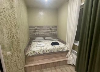 Сдам дом, 110 м2, деревня Александровка