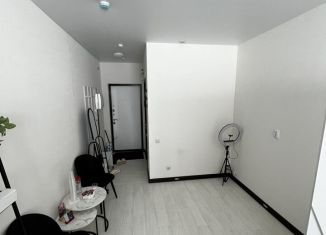 Аренда квартиры студии, 22 м2, Мурино, Екатерининская улица, 16/5