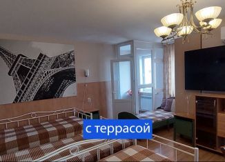 Сдается квартира студия, 50 м2, Новосибирск, улица Крылова, метро Сибирская