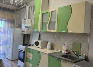 Сдаю в аренду 1-ком. квартиру, 53 м2, Геленджик, Геленджикская улица, 37