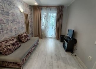 Сдается однокомнатная квартира, 32 м2, Челябинск, Российская улица, 71, Центральный район