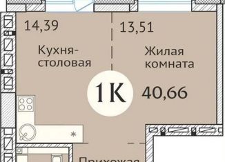 Продается 1-комнатная квартира, 40.9 м2, Новосибирская область, улица Дуси Ковальчук, 248/1