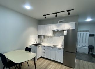 Аренда квартиры студии, 30 м2, Республика Башкортостан, Яркий бульвар, 8/1