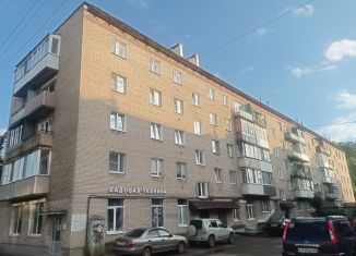 Продаю 3-комнатную квартиру, 51.2 м2, Великие Луки, Холмская улица, 1