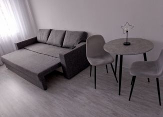 Аренда 1-комнатной квартиры, 27 м2, Мурино, улица Шоссе в Лаврики, 95