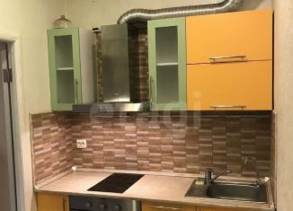 Аренда 1-ком. квартиры, 30 м2, Санкт-Петербург, Ленинский проспект, 78к2, ЖК Два капитана