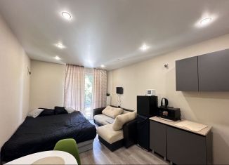 Сдается в аренду квартира студия, 16 м2, Сочи, улица Искры, 88к3, микрорайон Кудепста