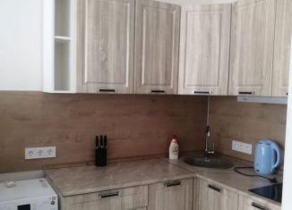 Сдам в аренду 1-ком. квартиру, 32 м2, Новосибирск, улица Гаранина, 31, Октябрьский район