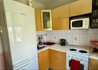 Сдам 1-комнатную квартиру, 35 м2, Новосибирск, Выборная улица, 117, Октябрьский район