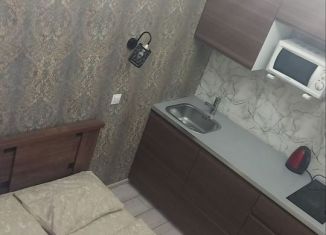 Сдается в аренду комната, 20 м2, Санкт-Петербург, Старо-Петергофский проспект, 26В, Адмиралтейский район