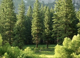 Продается земельный участок, 15 сот., Чита