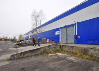 Сдам в аренду склад, 1100 м2, Санкт-Петербург, проспект Большевиков, 56к4, муниципальный округ Народный
