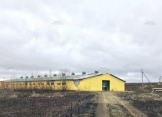 Продам помещение свободного назначения, 1246 м2, деревня Нестеровка, Молодёжная улица, 11