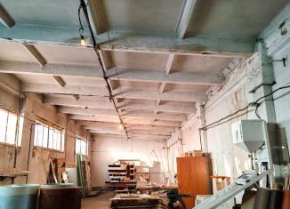 Продается производство, 543 м2, Новосибирская область, улица Карла Маркса, 41/8