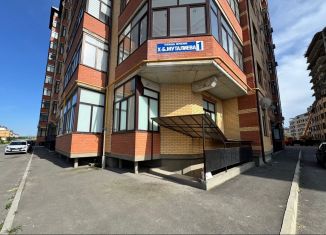 Продам помещение свободного назначения, 156 м2, Ингушетия, улица Хаджи-Бикара Муталиева, 1