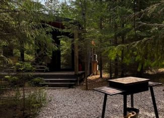 Сдам дом, 30 м2, деревня Кулики, Светлая улица, 2