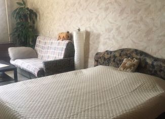 Сдается комната, 22 м2, Санкт-Петербург, Дерптский переулок, 11, Адмиралтейский район
