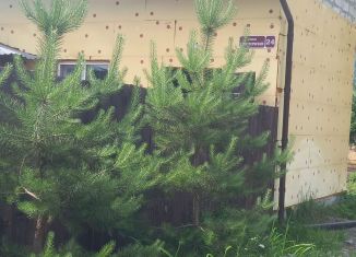 Сдам в аренду дом, 57 м2, посёлок Турбаза Юность, Цветочная улица, 24