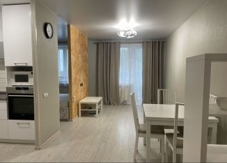 Сдача в аренду однокомнатной квартиры, 40.4 м2, Пермь, Автозаводская улица, 30, ЖК Вариант