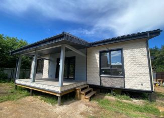 Продам дом, 96 м2, деревня Каменное, Хвойная улица, 11