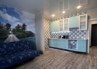 Сдается квартира студия, 27 м2, посёлок Берёзовый, Декоративная улица, 1/5к2