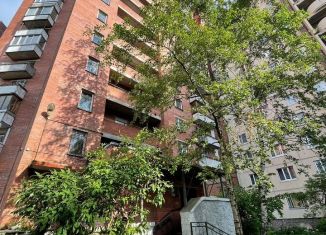 Сдается в аренду 1-комнатная квартира, 42 м2, Санкт-Петербург, проспект Королёва, 29к1