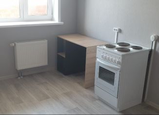 Сдам в аренду 1-ком. квартиру, 40 м2, Пермь, улица Старцева, 143, ЖК Авиатор