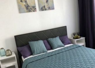 Сдается 1-ком. квартира, 40 м2, Санкт-Петербург, Дальневосточный проспект, 25к1, ЖК Цивилизация