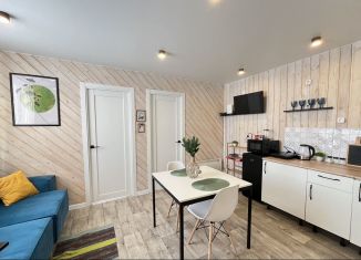 Сдам в аренду дом, 41 м2, поселок Юг, Крымская улица, 15