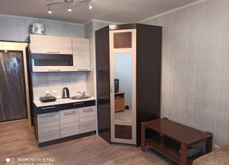 Сдам в аренду квартиру студию, 27 м2, Мурино, Воронцовский бульвар, 17