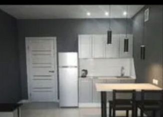 Сдам однокомнатную квартиру, 50 м2, Искитим, микрорайон Индустриальный, 39