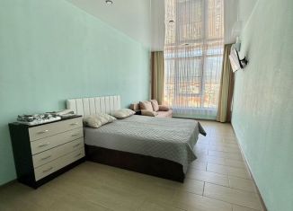 Сдаю 1-ком. квартиру, 45 м2, Геленджик, Туристическая улица, 4А