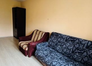 Сдача в аренду двухкомнатной квартиры, 44 м2, посёлок фабрики имени 1 Мая, СНТ фабрики имени 1 Мая, 47