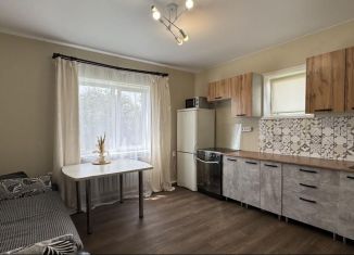 Продается дом, 45.7 м2, Хакасия, Ягодная улица, 24