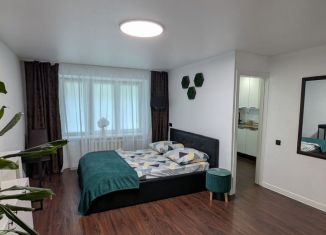 Сдача в аренду однокомнатной квартиры, 33 м2, Новомосковск, улица Садовского, 47