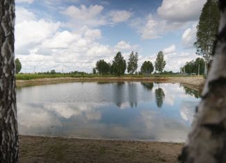 Продажа земельного участка, 6 сот., деревня Решетникова, Салаирский тракт