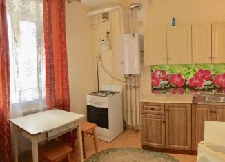 Сдаю в аренду 1-ком. квартиру, 30 м2, Бор, Московская улица