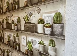 Сдается квартира студия, 27 м2, Уфа, улица Менделеева