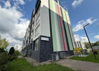 Продается двухкомнатная квартира, 58 м2, деревня Ветошниково, улица Ивана Спатара, 20