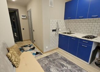 Сдам в аренду квартиру студию, 18 м2, Ивантеевка, Санаторный проезд, 2