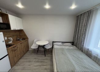 Продам квартиру студию, 17 м2, Новгородская область, улица Саши Устинова, 5