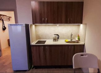 Сдам квартиру студию, 20 м2, деревня Новое Девяткино, Главная улица, 12