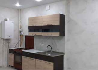 Сдаю в аренду 1-ком. квартиру, 41 м2, Азов, Красногоровская улица, 19А