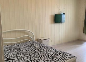 Сдача в аренду 1-ком. квартиры, Ярославская область, улица Менжинского, 50