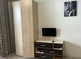 Сдам в аренду квартиру студию, 30 м2, Киров, Современная улица, 2