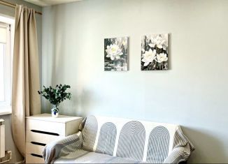 Квартира в аренду студия, 30 м2, Бурятия, улица Смолина, 79