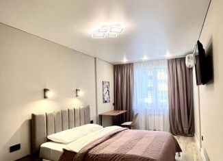 Сдаю в аренду 1-ком. квартиру, 35 м2, Республика Башкортостан, улица Пархоменко, 151/2